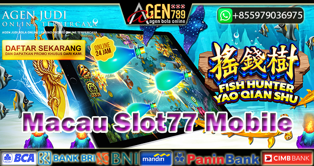 Macau Slot77 Mobile